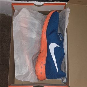 Customized Nike Roshes